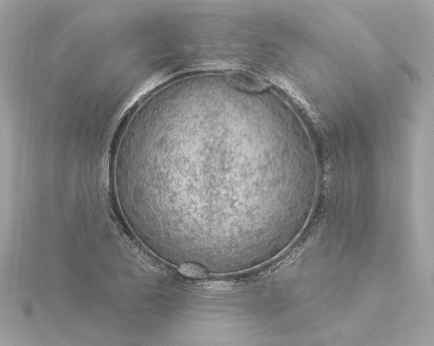 X0000116031173200912041928