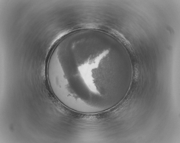 X0000116031174200912041928