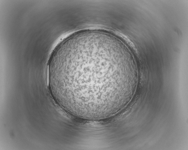 X0000116031175200912041928