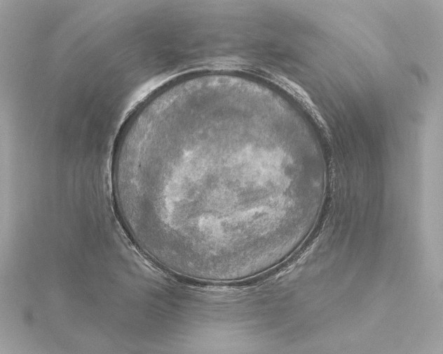 X0000116031176200912041928