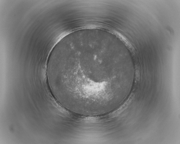 X0000116031178200912041928