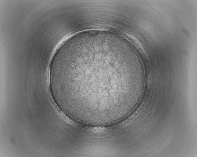 X0000116031180200912041928