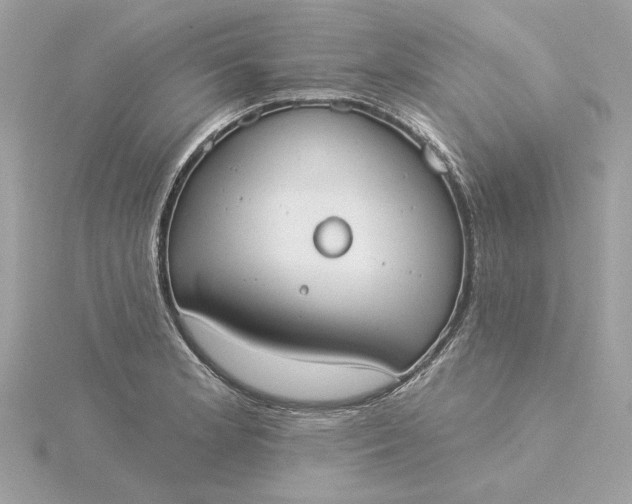 X0000116031181200912041928