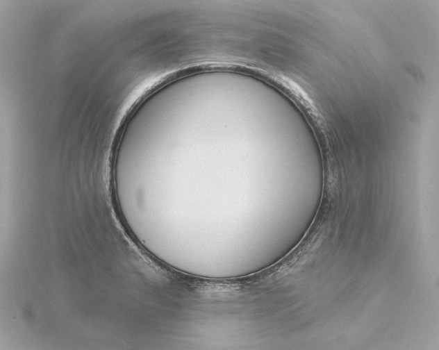 X0000116031183200912041928