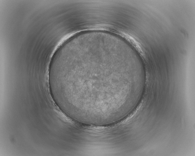 X0000116031184200912041928