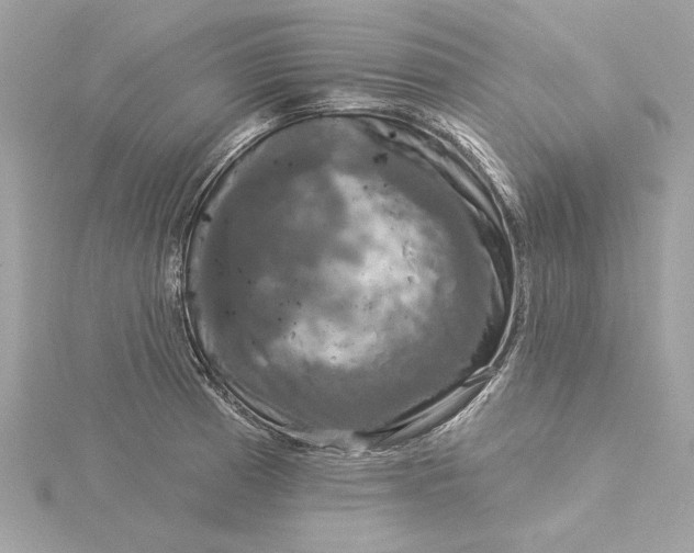 X0000116031185200912041928