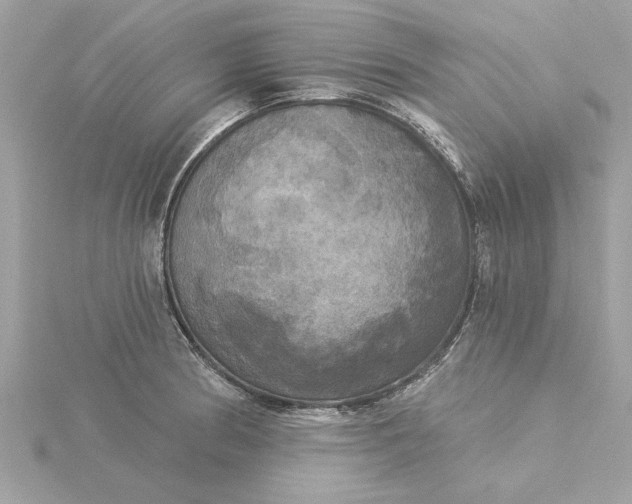 X0000116031186200912041928