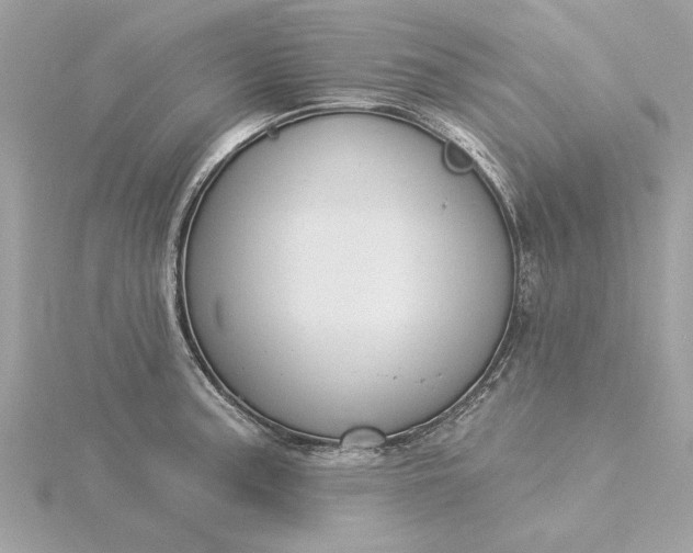 X0000116031187200912041928