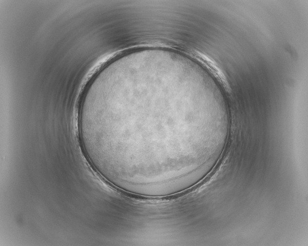 X0000116031188200912041928