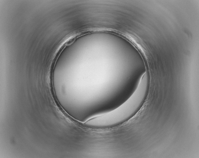 X0000116031189200912041928