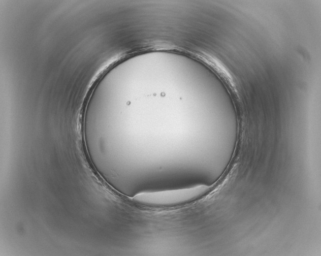 X0000116031190200912041928