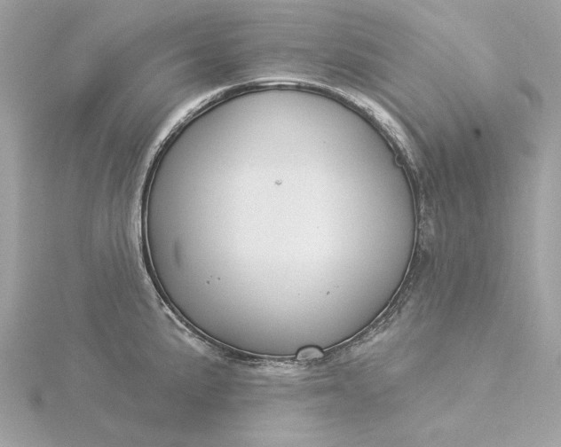 X0000116031191200912041928