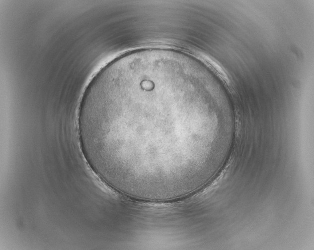 X0000116031192200912041928