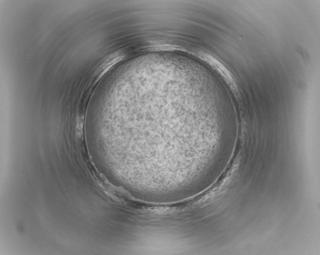 X0000116031193200912041928