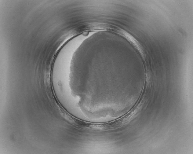 X0000116031194200912041928