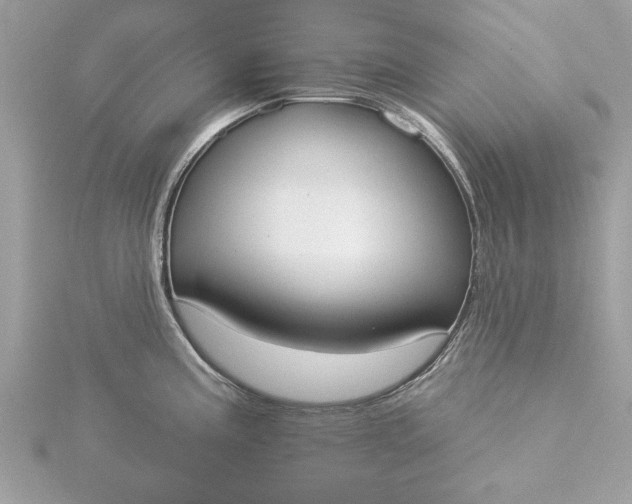 X0000116031195200912041928