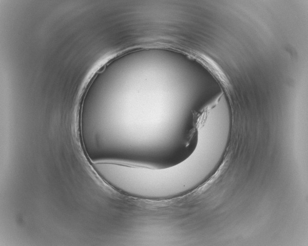 X0000116031196200912041928