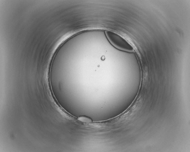 X0000116031197200912041928