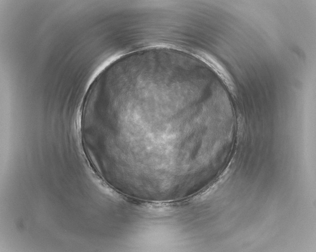 X0000116031198200912041928