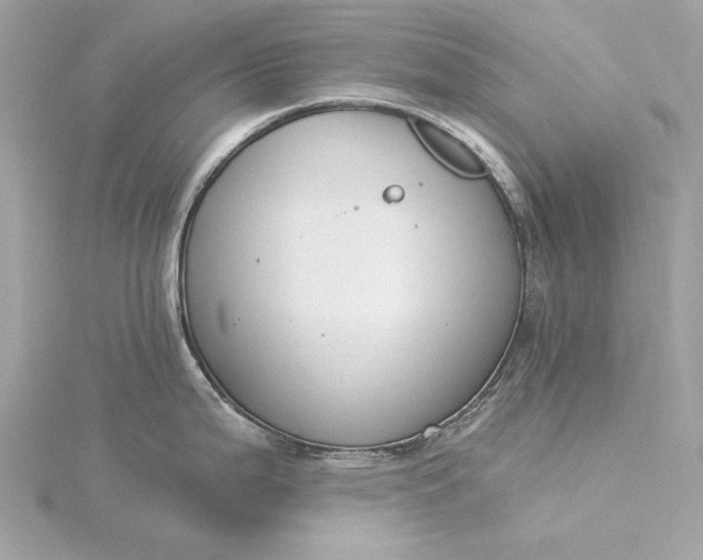 X0000116031199200912041928