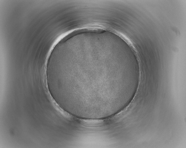 X0000116031200200912041928