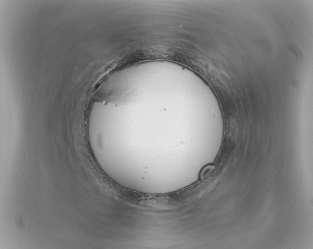 X0000116031201200912041927