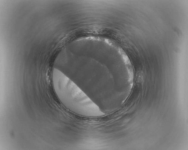 X0000116031202200912041927