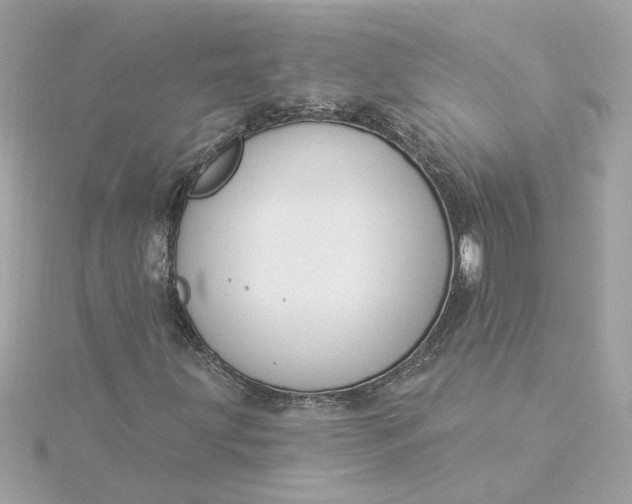 X0000116031203200912041927