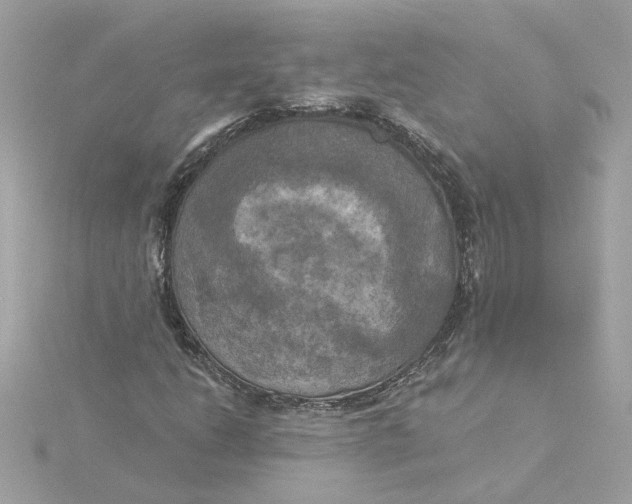 X0000116031206200912041927