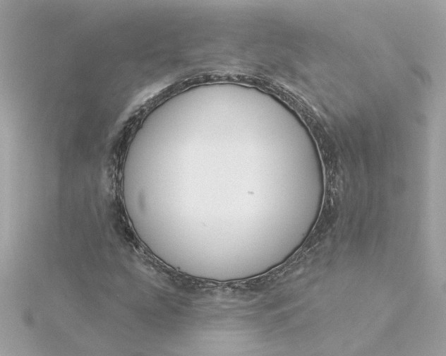 X0000116031207200912041928