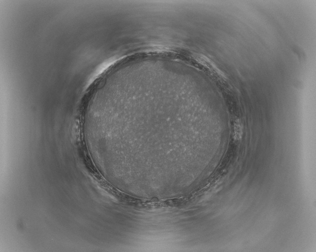 X0000116031208200912041928