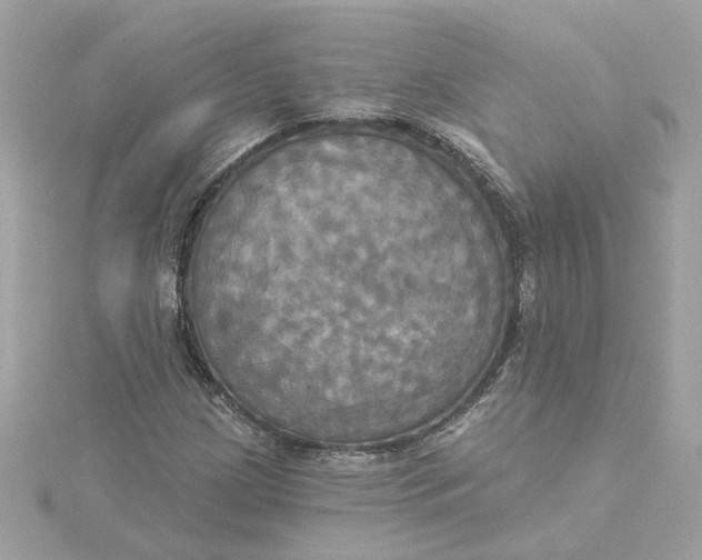 X0000116031209200912041928