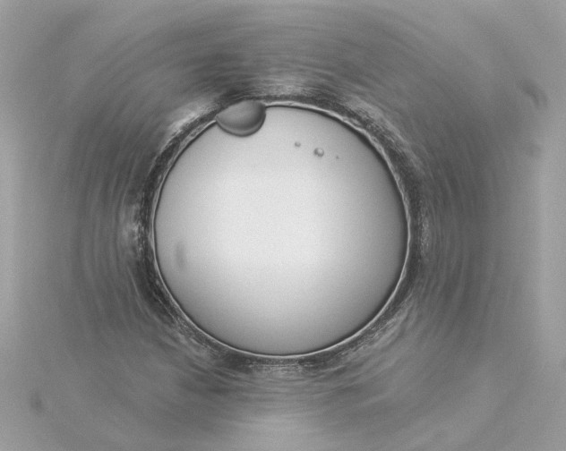 X0000116031210200912041928