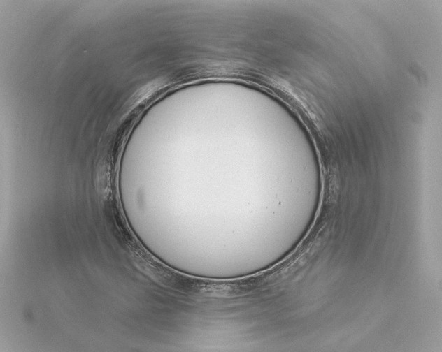 X0000116031211200912041928