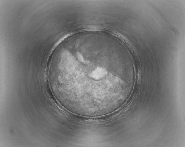 X0000116031212200912041928