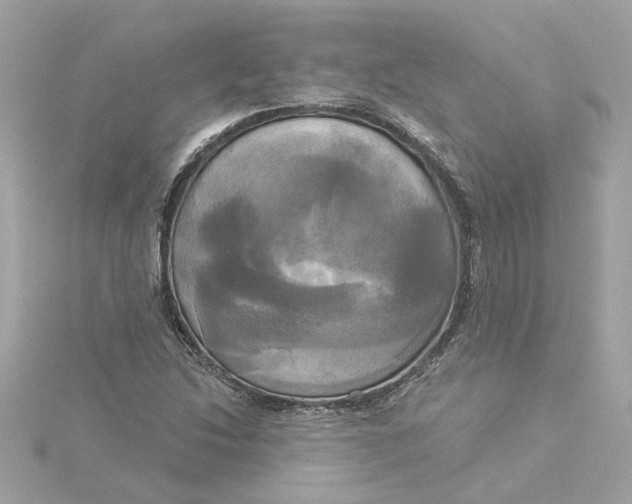 X0000116031214200912041928