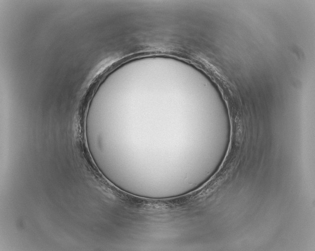 X0000116031215200912041928