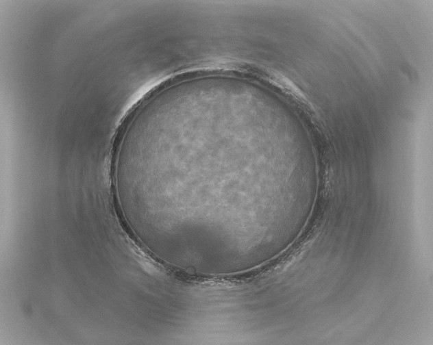 X0000116031216200912041928