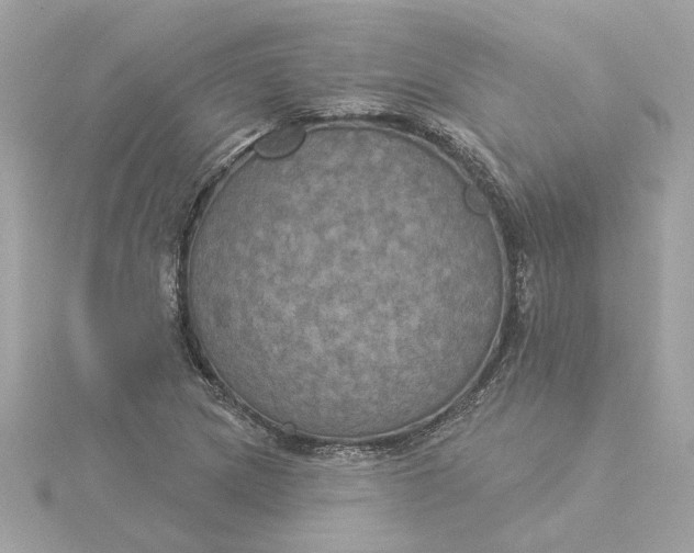 X0000116031217200912041928