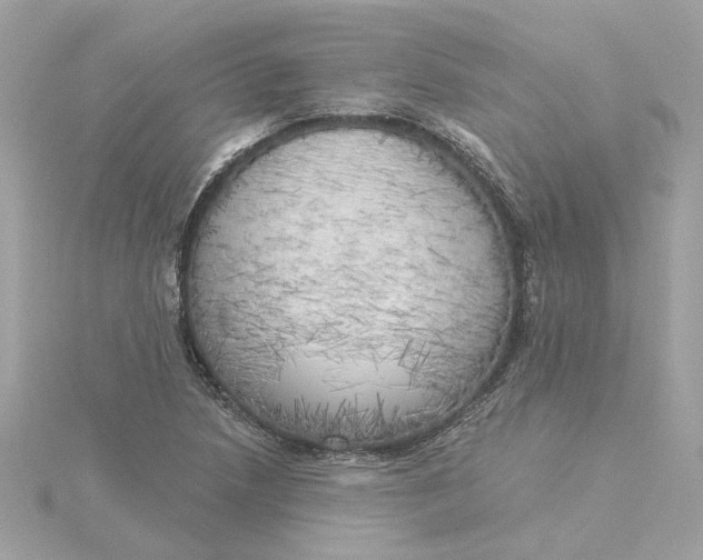 X0000116031218200912041928