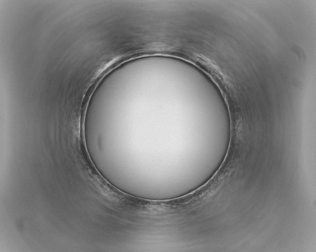 X0000116031220200912041928