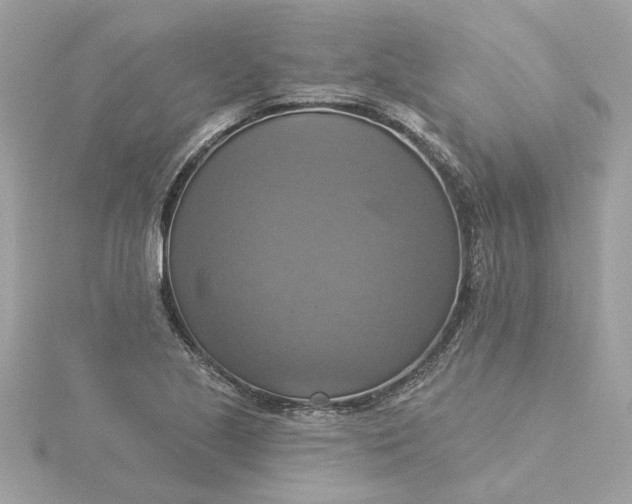 X0000116031221200912041928