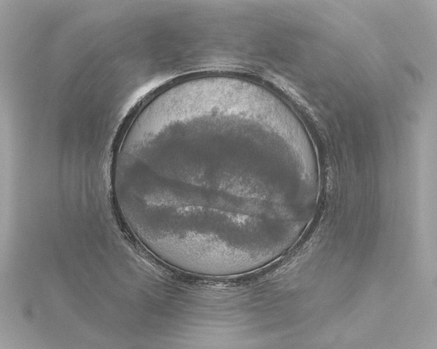 X0000116031222200912041928