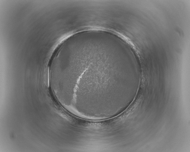 X0000116031223200912041928