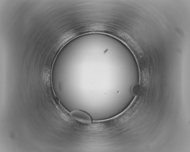 X0000116031225200912041928