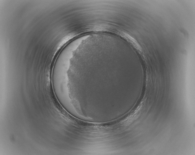 X0000116031226200912041928