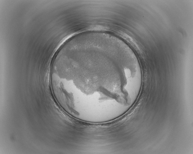 X0000116031228200912041928