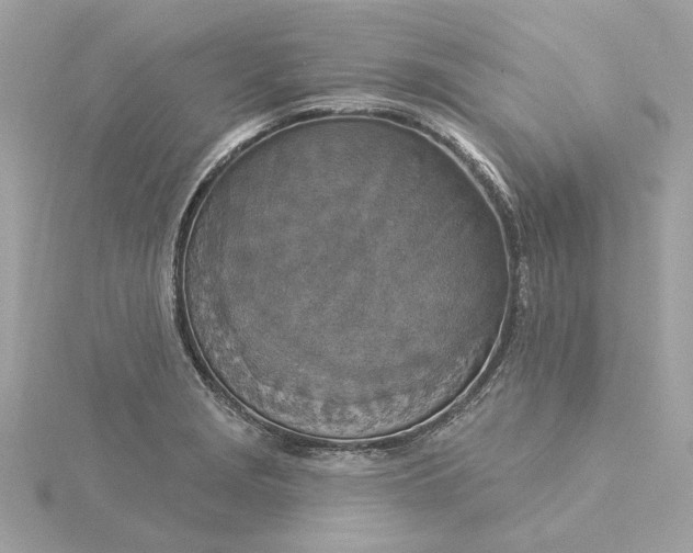 X0000116031229200912041928