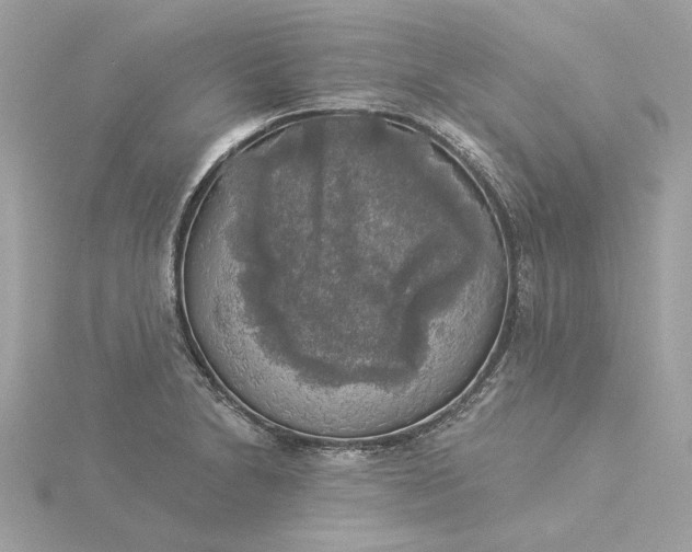 X0000116031230200912041928