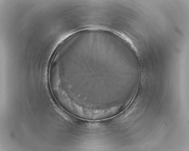 X0000116031231200912041928